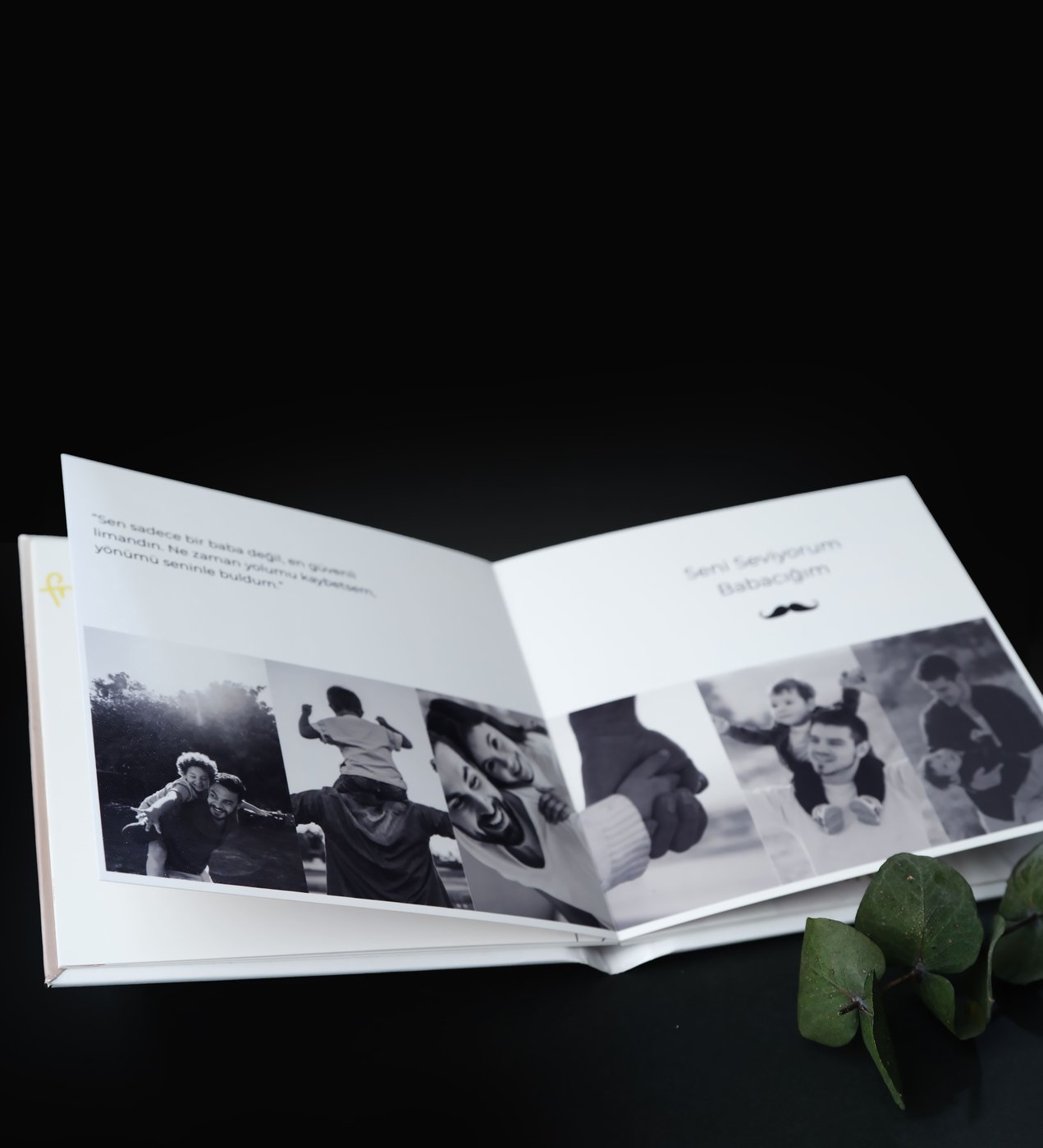 Family Book
